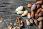 Очищенные кедровые орехи: польза и вред