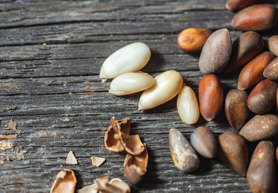 Очищенные кедровые орехи: польза и вред