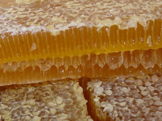 Мед в сотах: польза и вред 