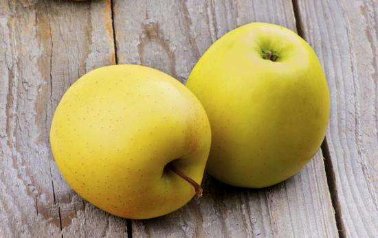 желтые яблоки: польза и вред