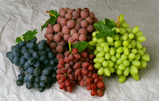 виноград польза и вред для организма 