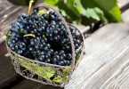 Черный виноград: польза и вред
