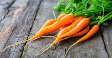 Морковь: польза и вред свежих и вареных корнеплодов