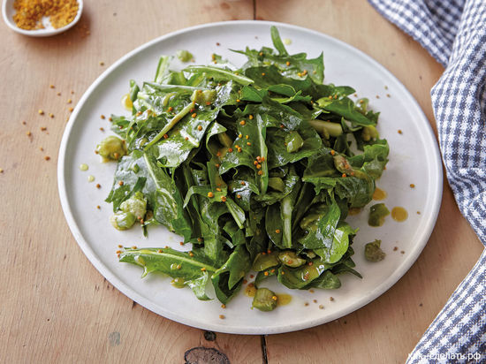 Салат из листьев одуванчика: польза и вред