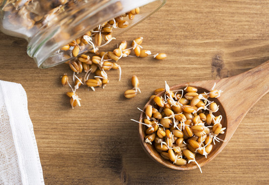  Пророщенные зерна пшеницы: польза и вред